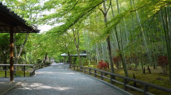 天竜寺境内
