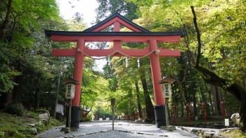 日吉大社合掌鳥居