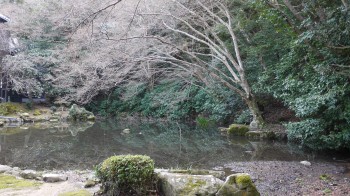 大照院庭園