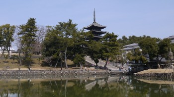 興福寺（猿沢の池）