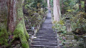 室生寺奥の院への参道