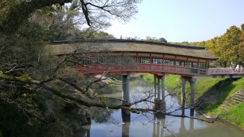 宇佐神宮屋根橋