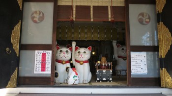 今戸神社招き猫